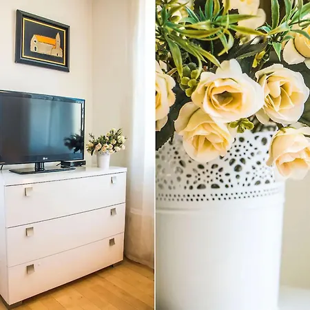 Charming Spliten Style Apartment